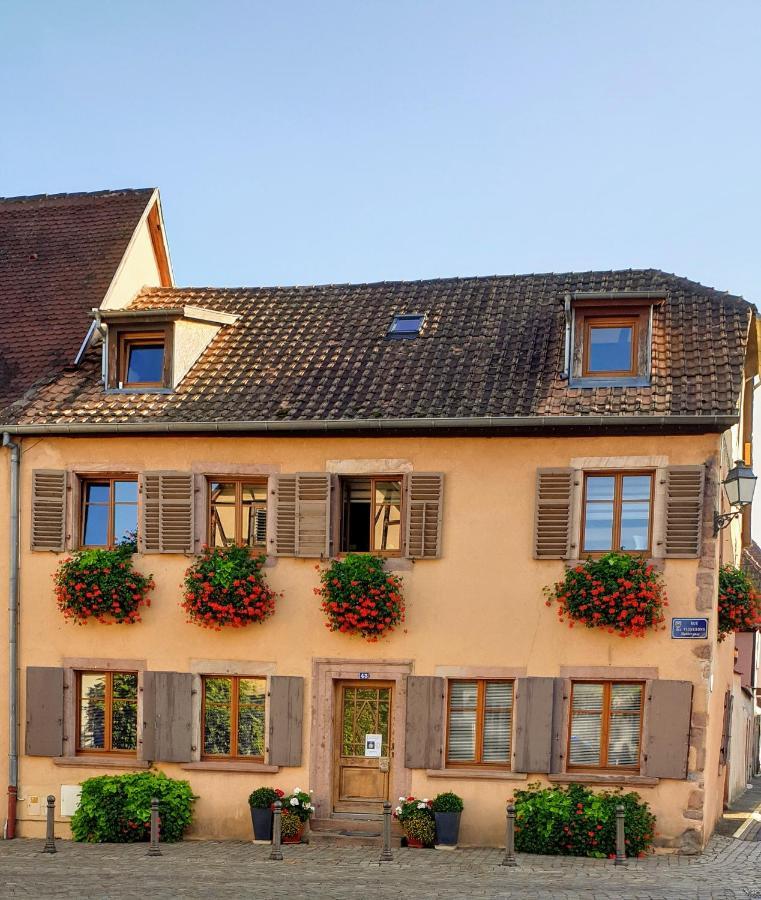 Chez Laurette A Bergheim Daire Dış mekan fotoğraf